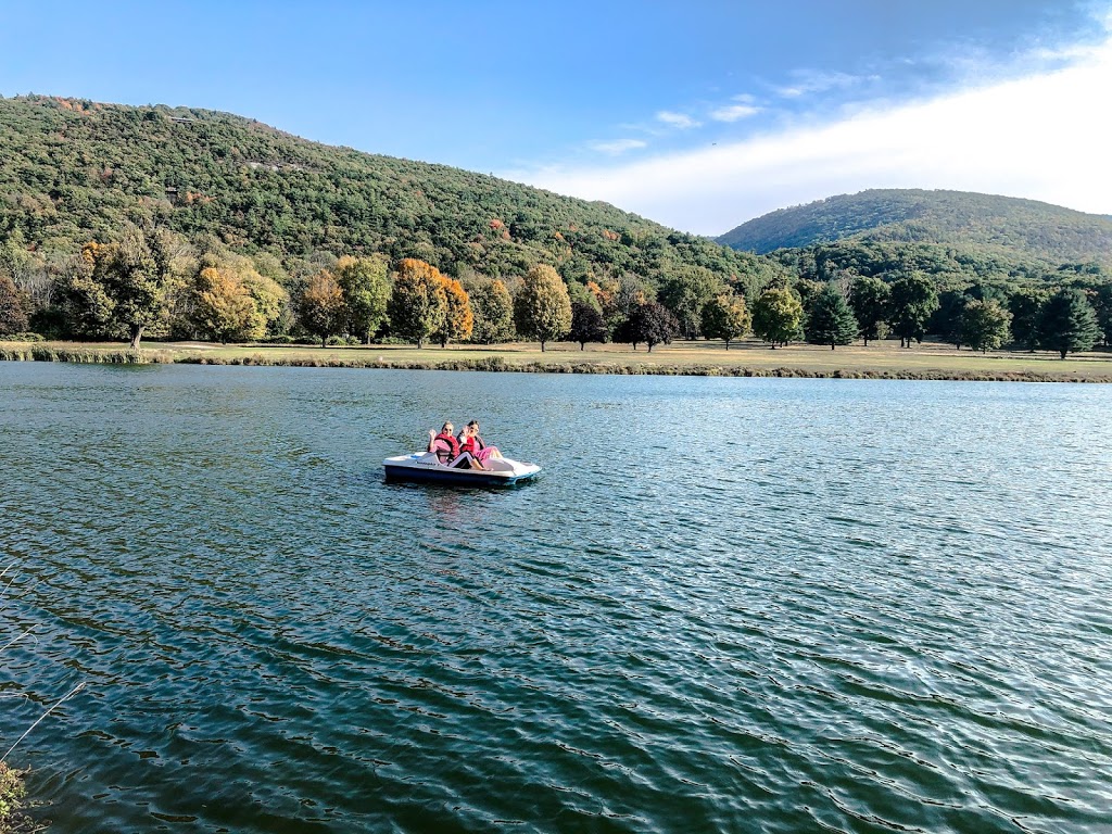 Having fun on a pedal boat on a lake 